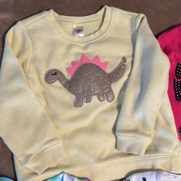 Fall sweater bundle 2T toddler girl - Picture 2 of 13